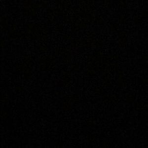 Meet your Posher, Shardae